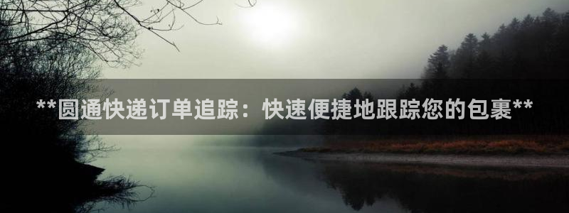 28圈官方平台：**圆通快递订单追踪