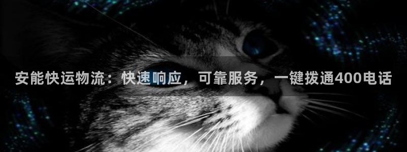 28圈官网链接：安能快运物流：快速响