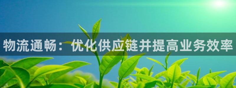 28圈游戏官网入口