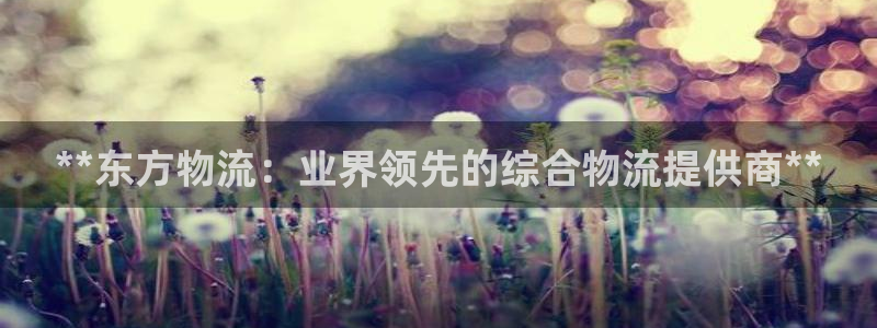 28圈aPP退款：**东方物流：业界