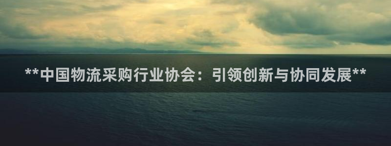 自行车28圈是什么意思：**中国物流