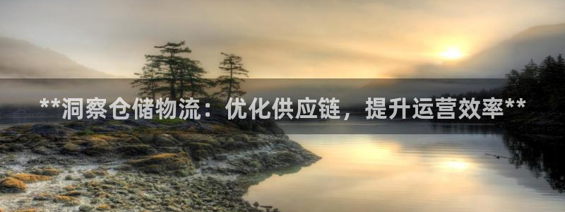 28圈注册网站多少钱一个：**洞察仓