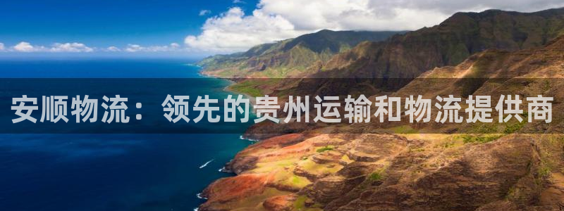 28圈游戏官网版：安顺物流：领先的贵