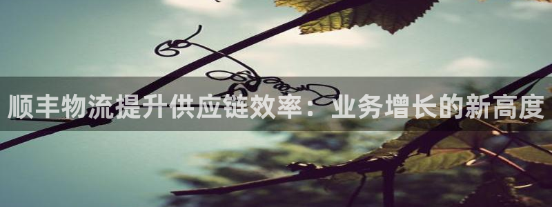 28圈v6能卖多少：顺丰物流提升供应