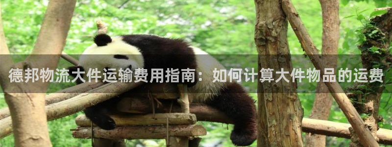 28圈反水什么时候到：德邦物流大件运