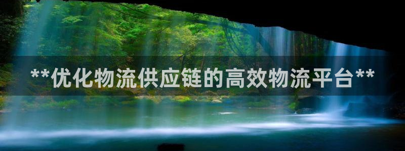 28圈官方网站预测：**优化物流供应
