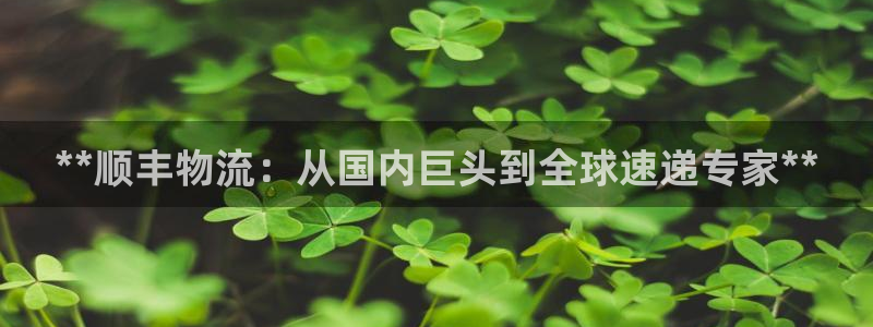 28圈注册送：**顺丰物流：从国内巨