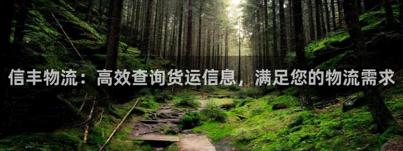 28圈推广链接是多少：信丰物流：高效