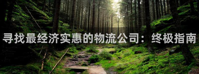 28圈辅助：寻找最经济实惠的物流公司