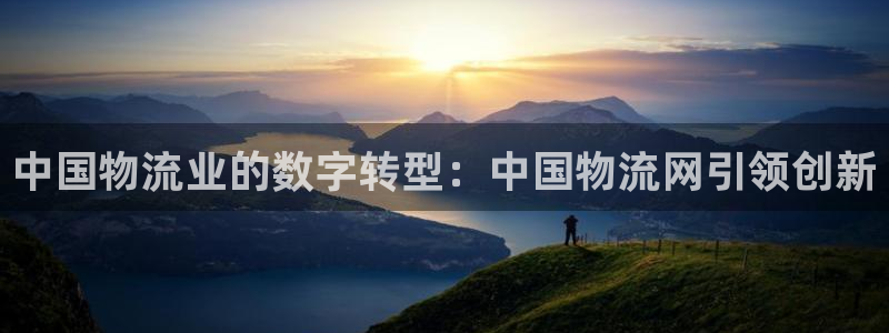 28圈激活码：中国物流业的数字转型：