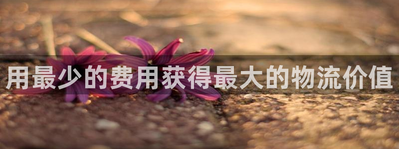 28圈.ccm2024：用最少的费用