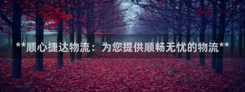 28圈技巧：**顺心捷达物流：为您提