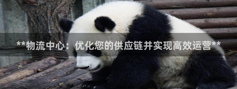 28圈下载不了：**物流中心：优化您