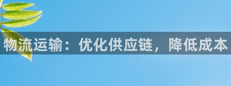 28圈注册地址：物流运输：优化供应链