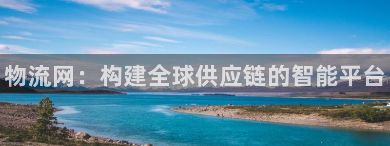 28圈为什么打不开：物流网：构建全球