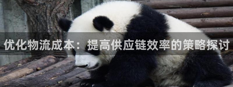28圈链官网：优化物流成本：提高供应