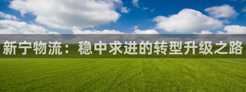 28圈注册网址百度知道：新宁物流：稳