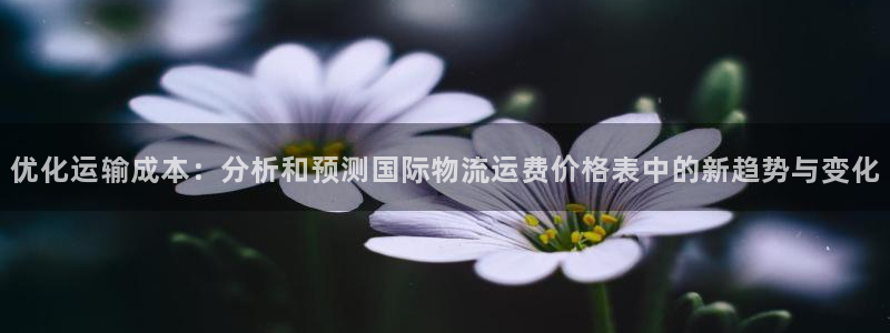 28圈加拿大官网：优化运输成本：分析