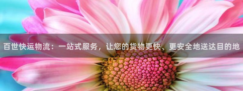 28圈注册登录链接流程：百世快运物流：一站式服务，让您的货物