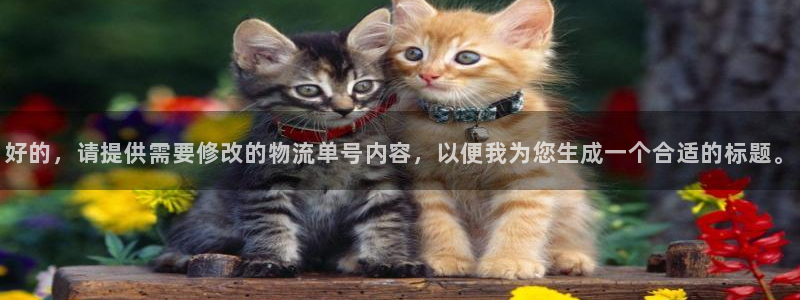 28圈.ccmapp：好的，请提供需