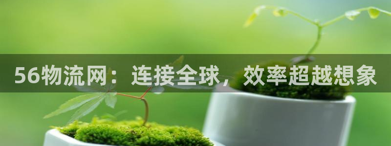28圈官网多少：56物流网：连接全球，效率超越想象
