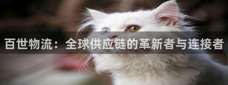 28圈注册网站链接怎么弄：百世物流：