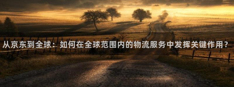 28圈电子游戏：从京东到全球：如何在全球范围内的物流服务中发