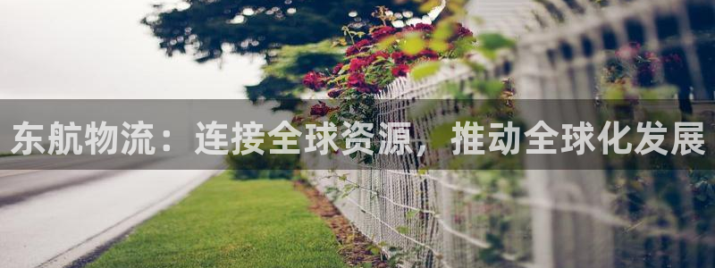 28圈返水怎么算的：东航物流：连接全