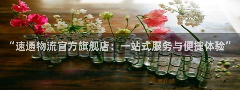 28圈客服电话：“速通物流官方旗舰店