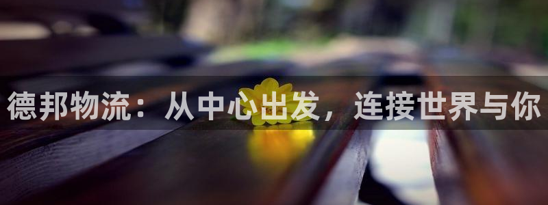 28圈能赢钱吗：德邦物流：从中心出发