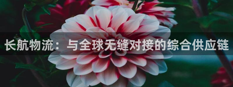 28圈免费充钱：长航物流：与全球无缝