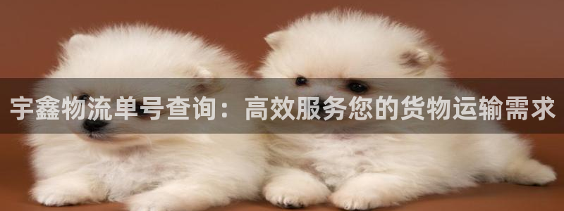 28圈登录网：宇鑫物流单号查询：高效
