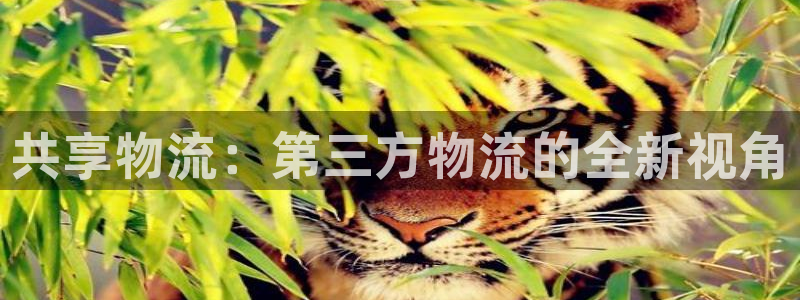 28圈和南宫28什么关系：共享物流：