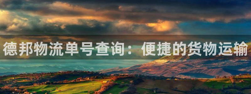 28圈如何退款：德邦物流单号查询：便