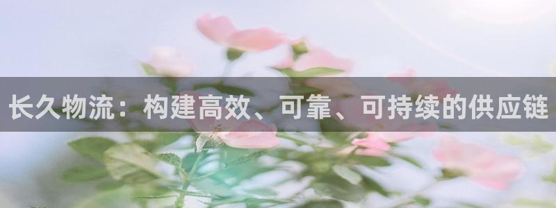 28圈口戒指是多大：长久物流：构建高