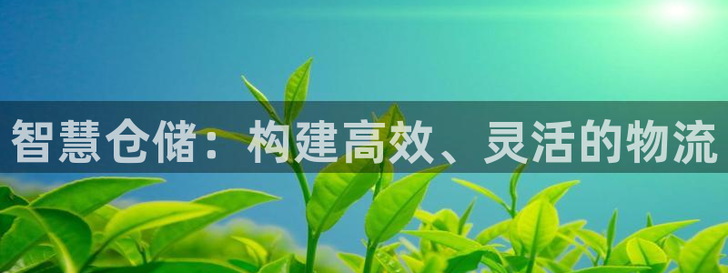 28圈.ccmpc正版：智慧仓储：构