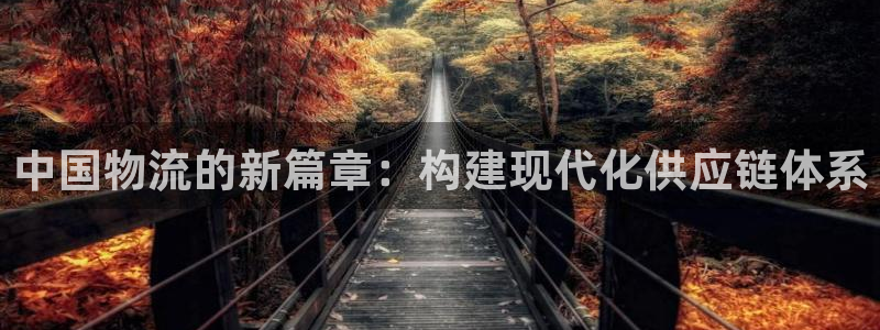 28圈注册网址：中国物流的新篇章：构
