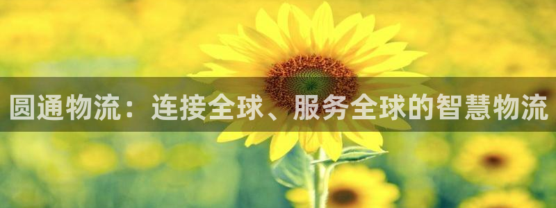 28圈免费：圆通物流：连接全球、服务全球的智慧物流