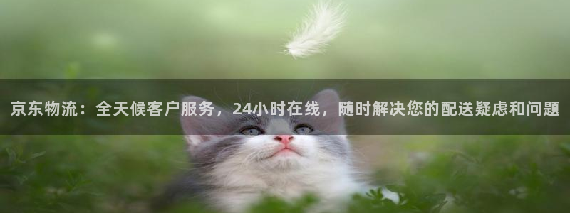 28圈网站平台是多少：京东物流：全天