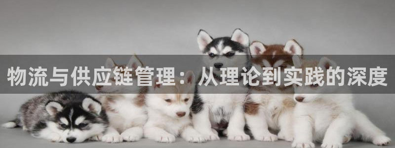 28圈aPP退款：物流与供应链管理：从理论到实践的深度