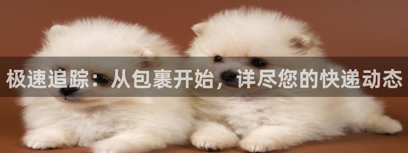 28圈注册地址：极速追踪：从包裹开始