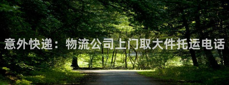 28圈代理落网：意外快递：物流公司上