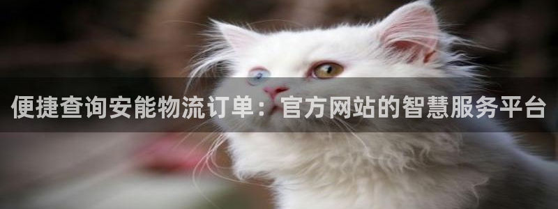 28圈登陆网：便捷查询安能物流订单：