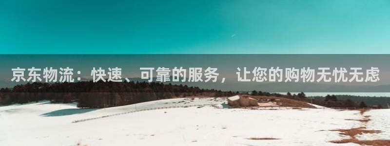 28圈口：京东物流：快速、可靠的服务