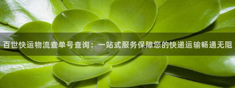 28圈注册网站APP：百世快运物流查