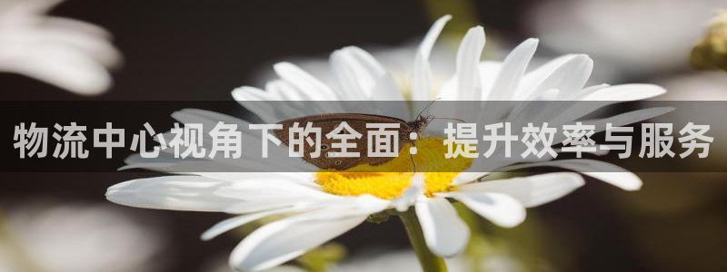 28圈返水怎么算的