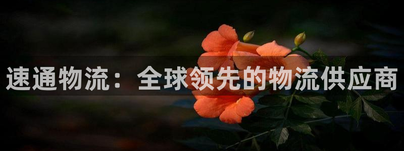 28圈的自行车：速通物流：全球领先的