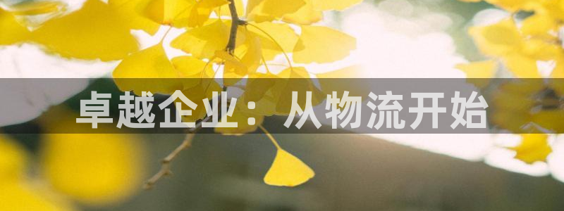 28圈软件总是闪退怎么回事：卓越企业：从物流开始