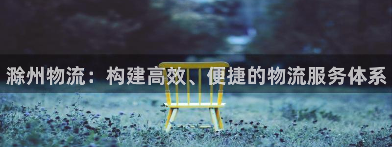 28圈登录网：滁州物流：构建高效、便