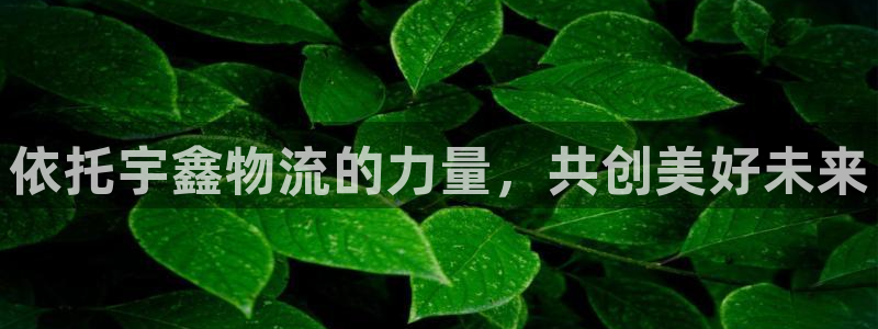 28圈怎么注册游戏名字：依托宇鑫物流